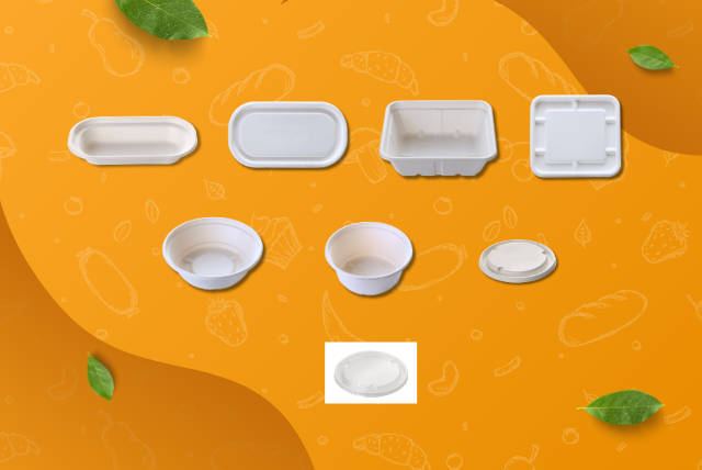 Biodegradable food containers manufactured by Fomex Group India using bagasse and natural fibers, designed with secure seals for takeaway and bulk food service.