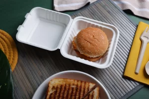 Environment friendly disposable plates made from sugarcane bagasse.