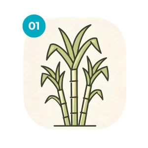 1. Raw material