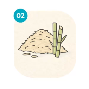 2. Harvesting and processing