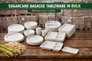 buy-sugarcane-bagasse-tableware-in-bulk-in-india-1024x683