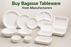 Buy Bagasse Tableware from Manufacturers in India