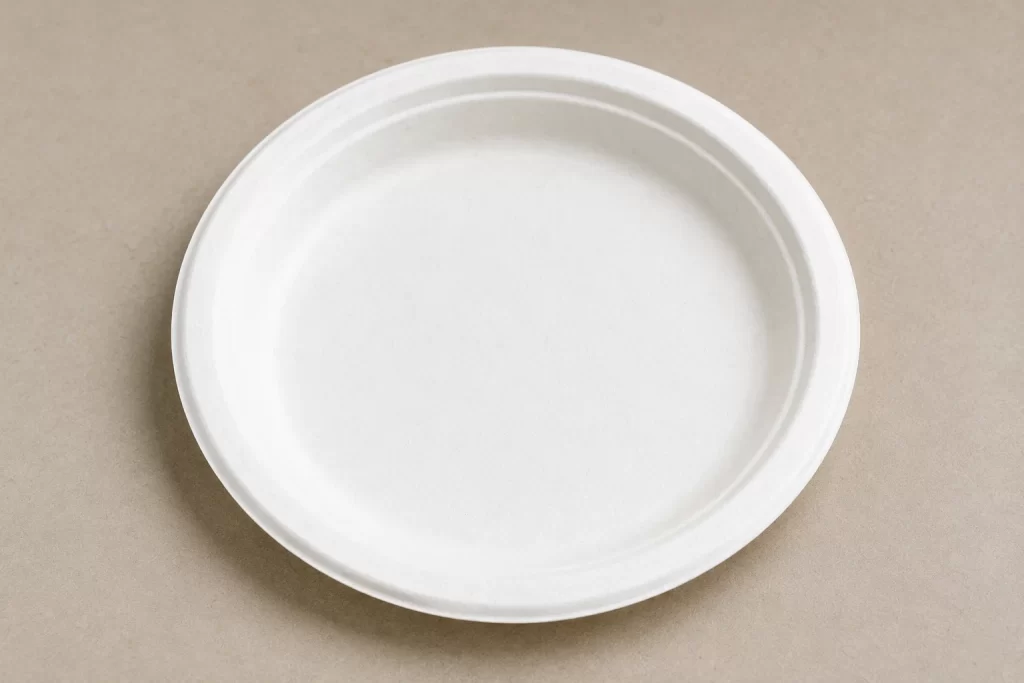 bagasse products manufacturers in india
