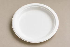 bagasse products manufacturers in india